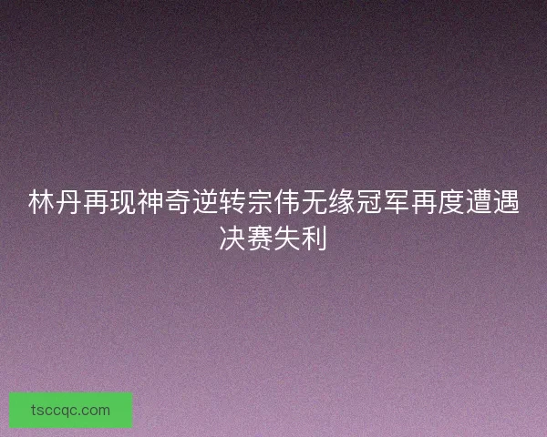林丹再现神奇逆转宗伟无缘冠军再度遭遇决赛失利